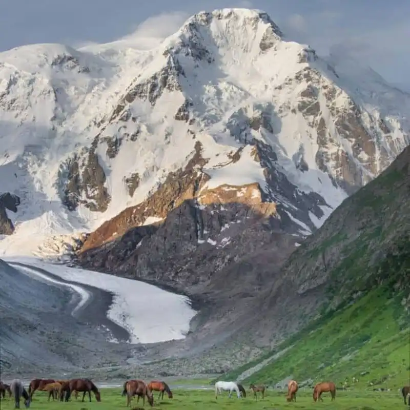 ทัวร์คีร์กีซสถาน